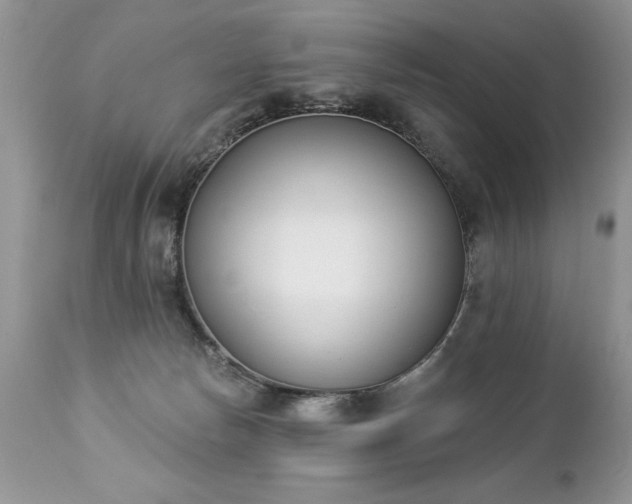 X0000112840178200908211249