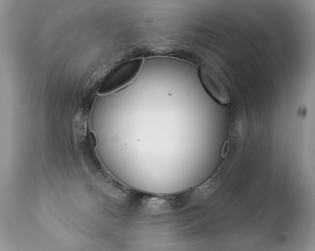 X0000112840180200908211249