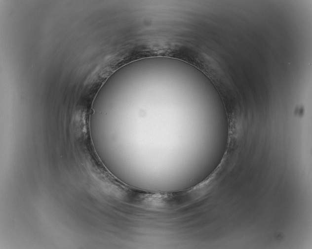 X0000112840182200908211249