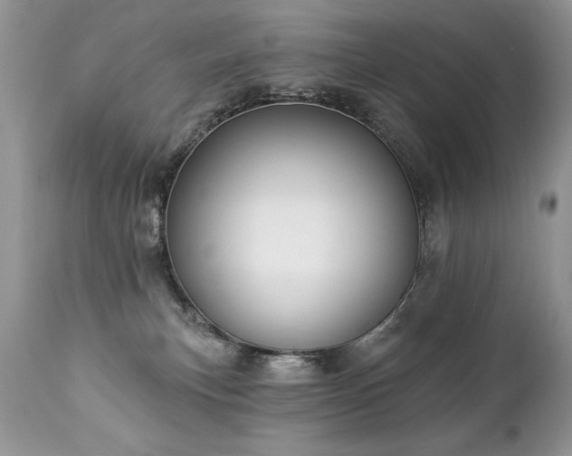 X0000112840183200908211249