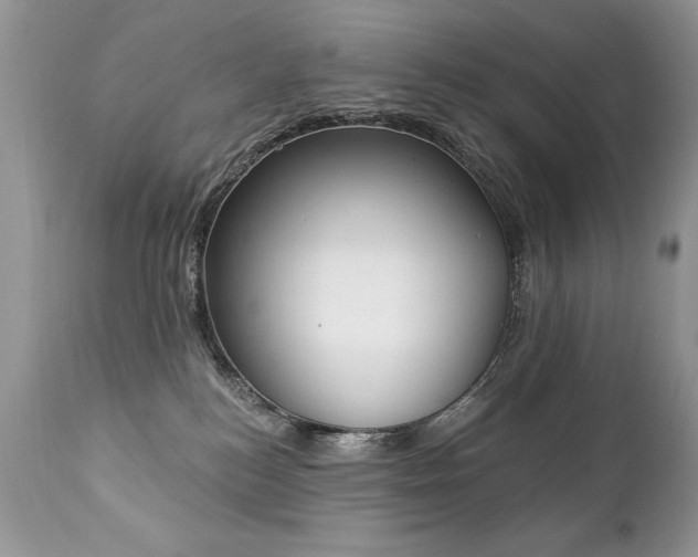 X0000112840184200908211249