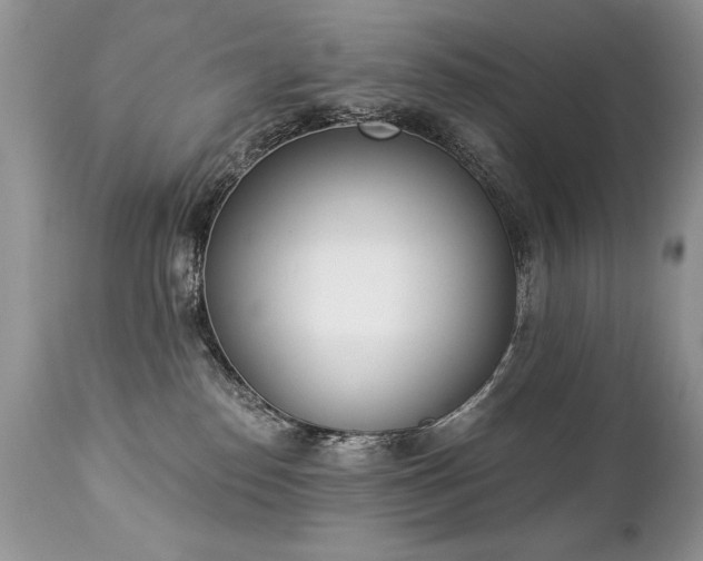 X0000112840186200908211249