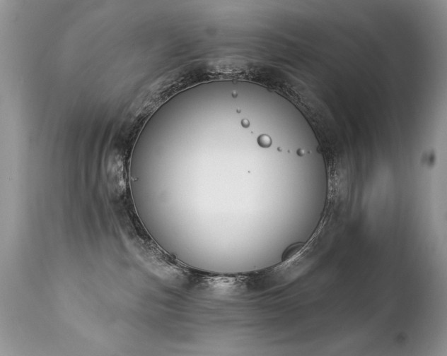 X0000112840187200908211249