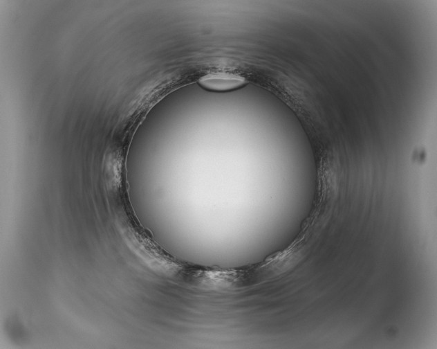 X0000112840188200908211249