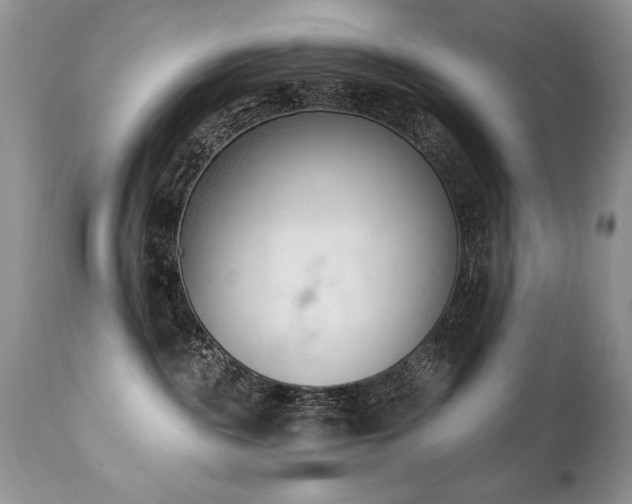 X0000112840189200908211249