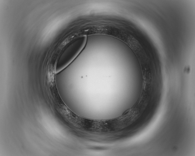 X0000112840190200908211249