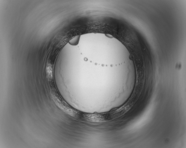 X0000112840191200908211249