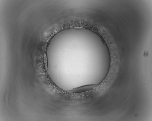 X0000112840192200908211249