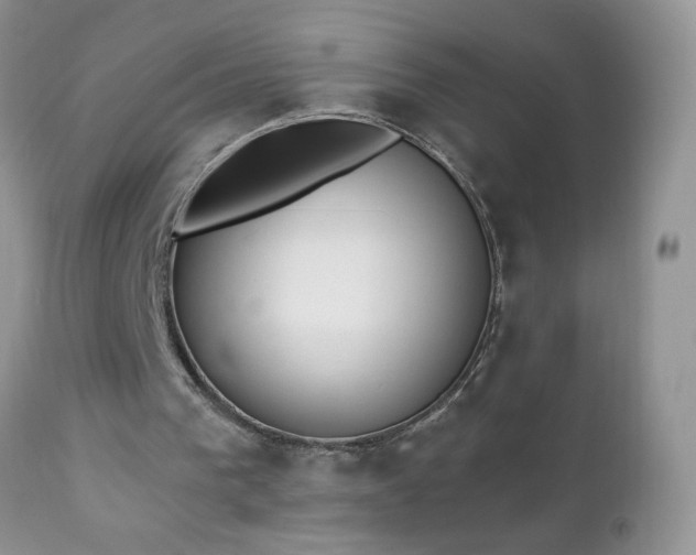 X0000112840193200908211249