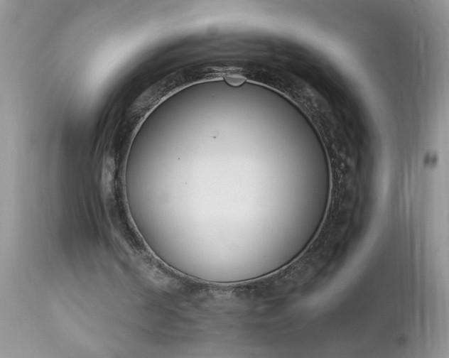 X0000112840194200908211249