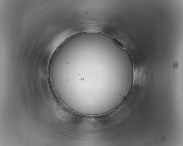 X0000112840195200908211249