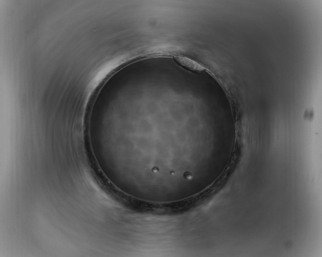 X0000112840196200908211249