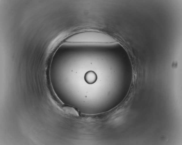 X0000112840197200908211249