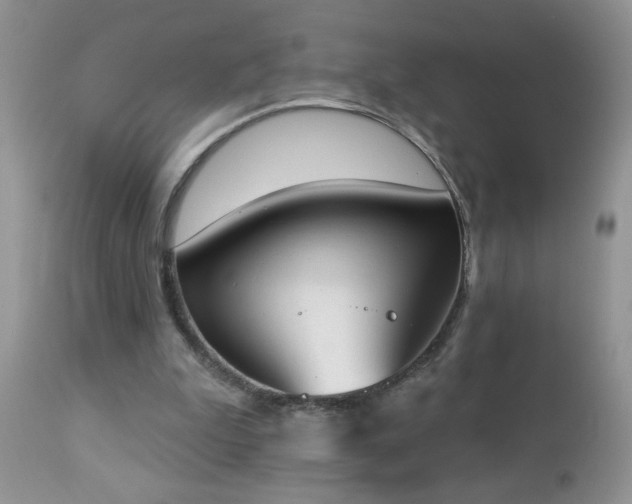 X0000112840199200908211248