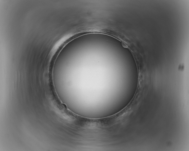 X0000112840200200908211248