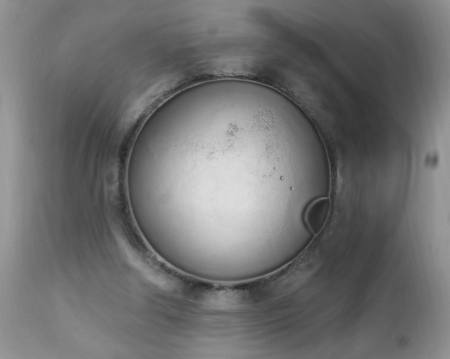 X0000112840202200908211248