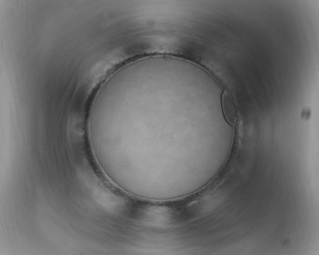 X0000112840203200908211248