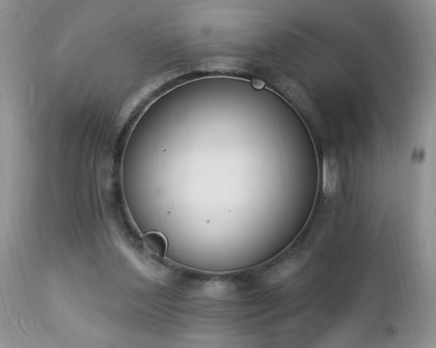 X0000112840204200908211248