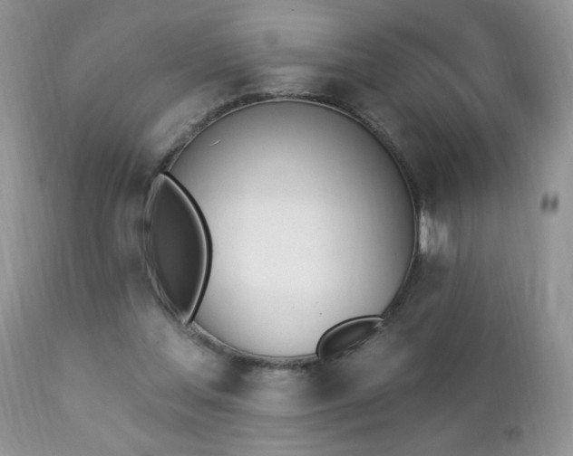 X0000112840205200908211248