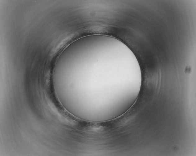 X0000112840206200908211248