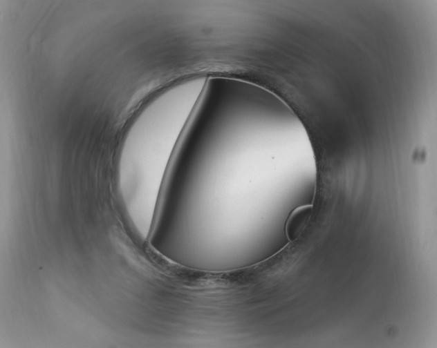 X0000112840207200908211248