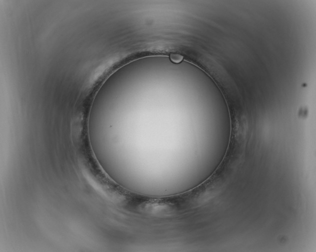 X0000112840208200908211248