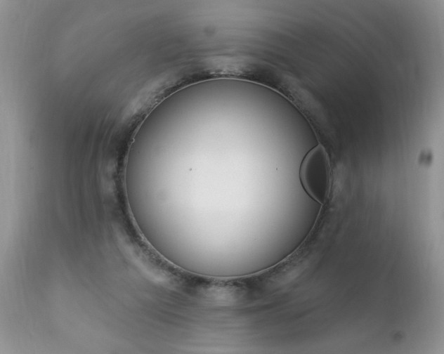 X0000112840209200908211248