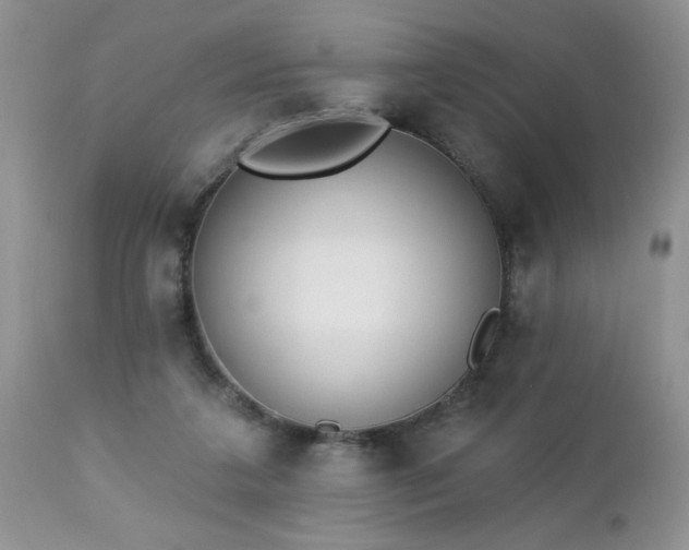 X0000112840211200908211248