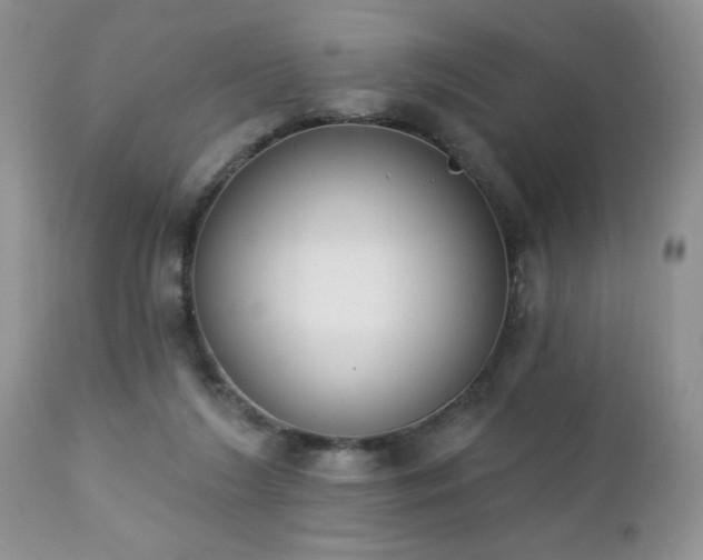 X0000112840212200908211248