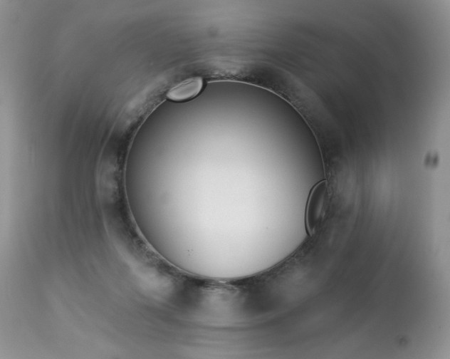 X0000112840215200908211248