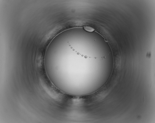 X0000112840216200908211248