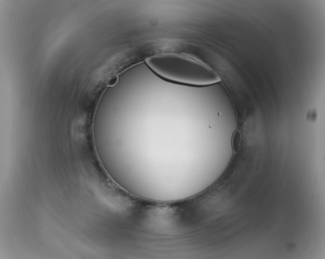 X0000112840217200908211248