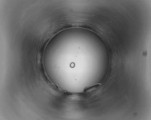 X0000112840219200908211248