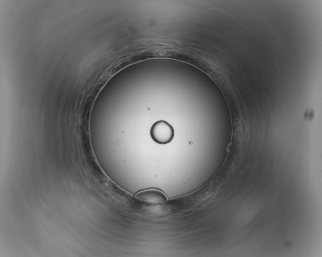 X0000112840221200908211248