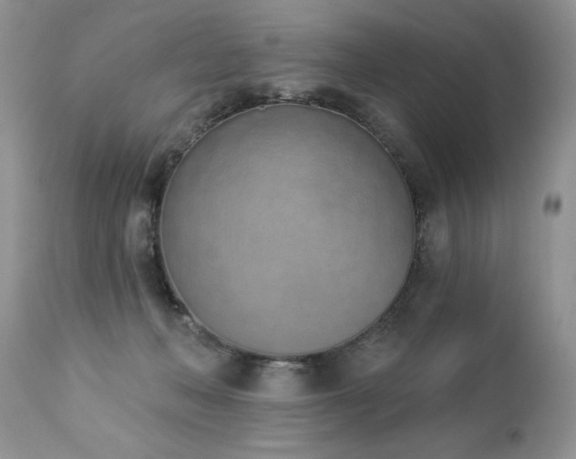 X0000112840222200908211248