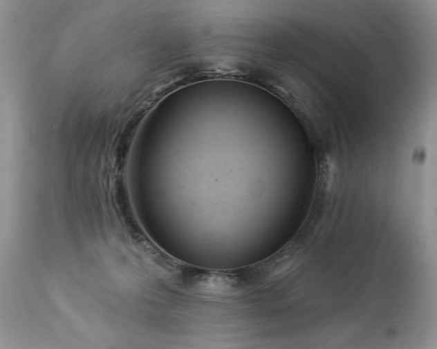 X0000112840223200908211248