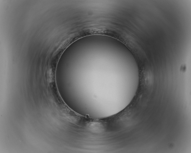 X0000112840224200908211248