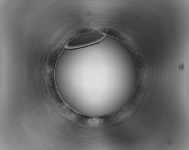 X0000112840225200908211248