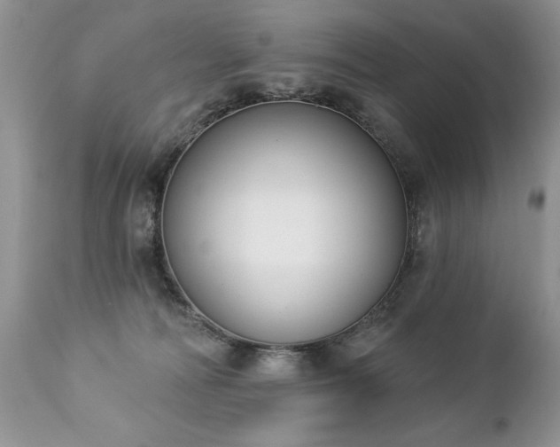 X0000112840226200908211248