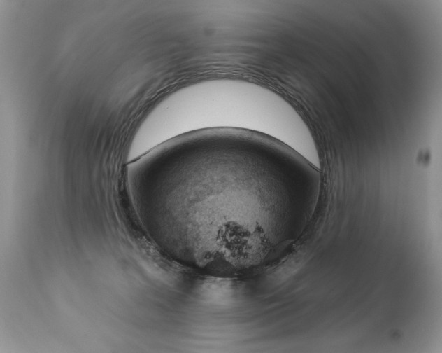 X0000112840227200908211248