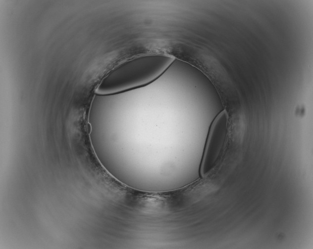 X0000112840229200908211248