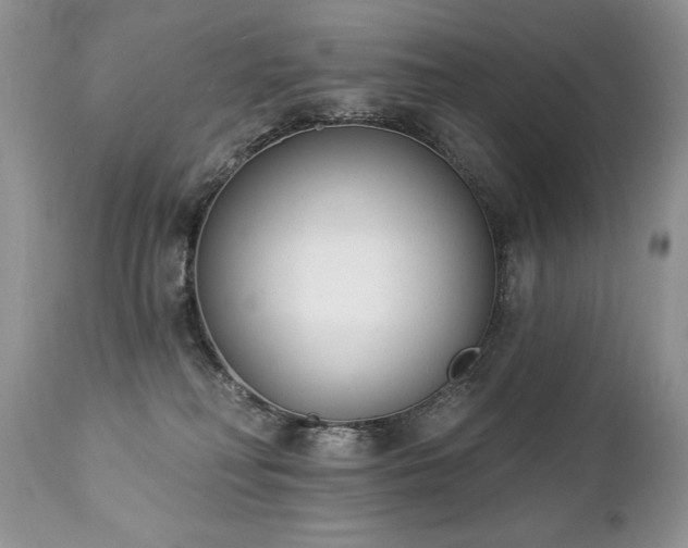 X0000112840230200908211248