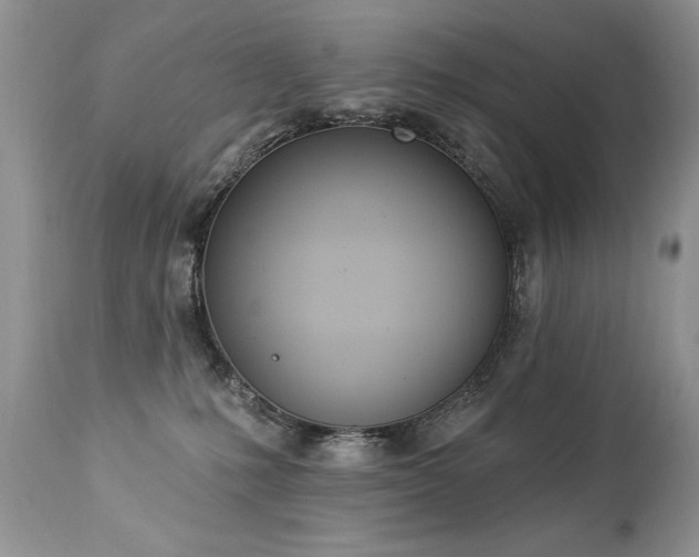 X0000112840231200908211248