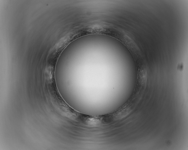 X0000112840232200908211248