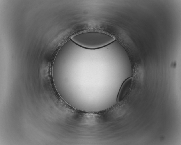 X0000112840233200908211248