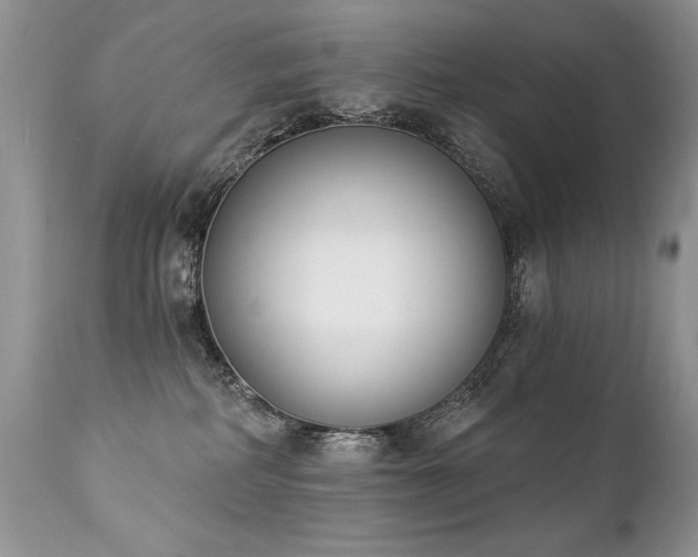 X0000112840234200908211248