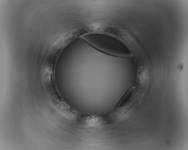 X0000112840235200908211248