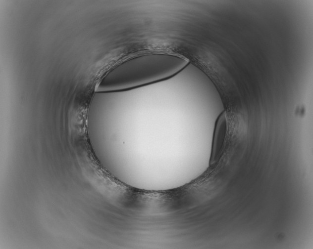 X0000112840237200908211248