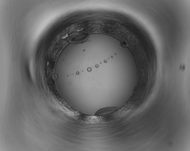 X0000112840239200908211248