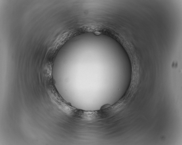 X0000112840240200908211248